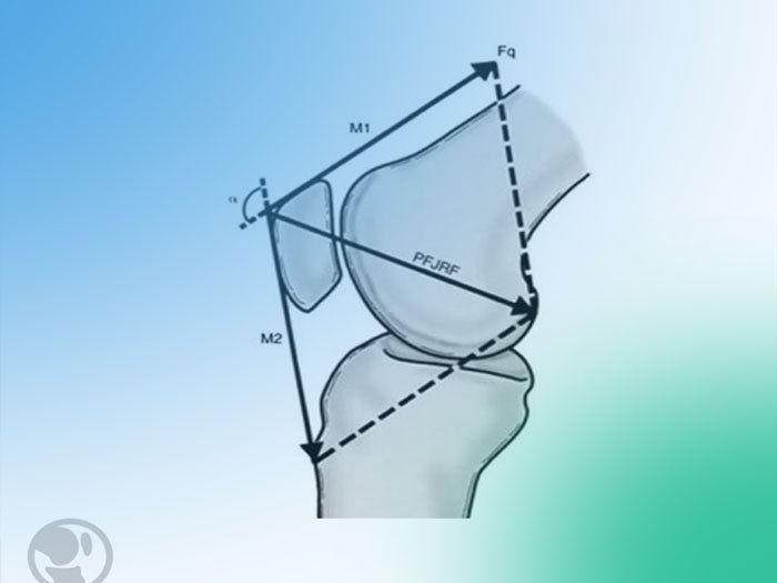 Descubre la anatomía y biomecánica de la articulación femoropatelar