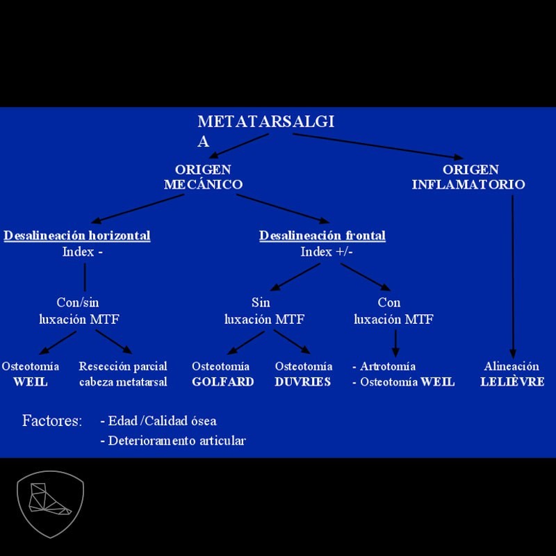 Algoritmo de tratamiento de las metatarsalgias
