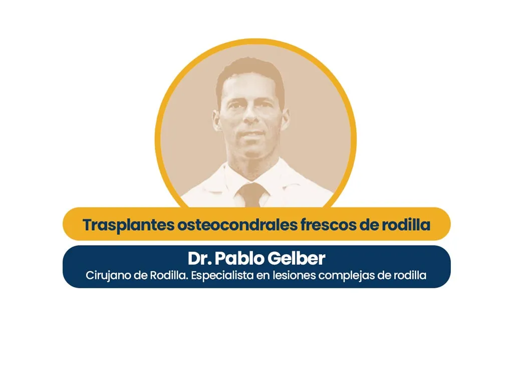 Hero Image Pablo Gelber