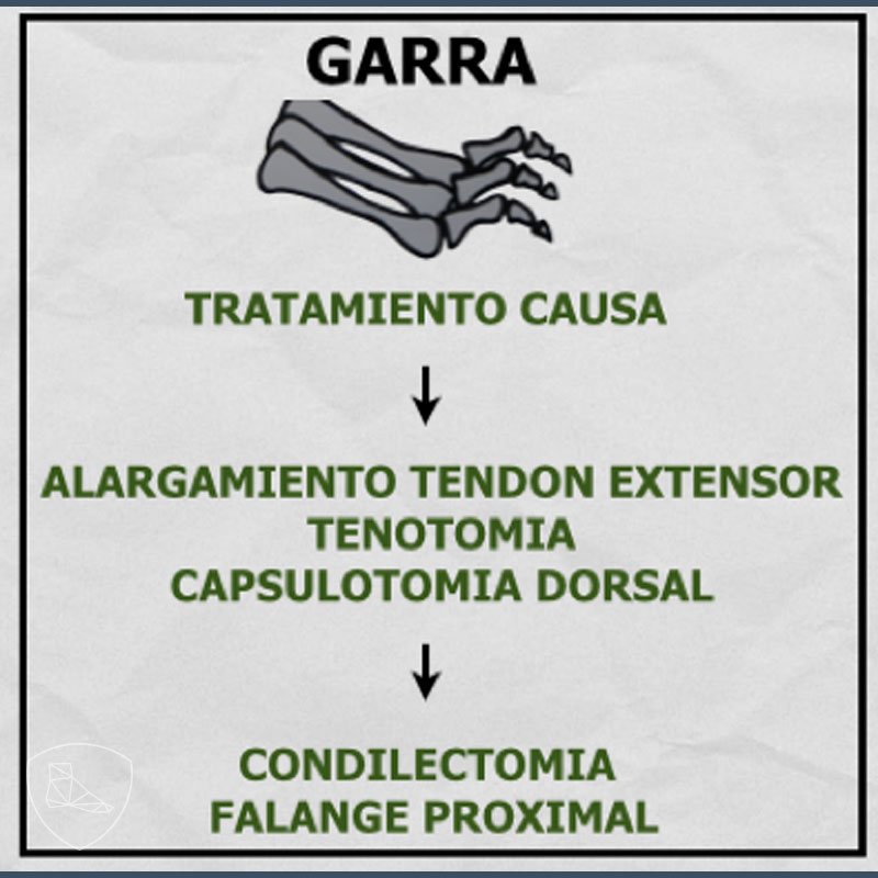 Algoritmo Tratamiento Dedos en Garra.