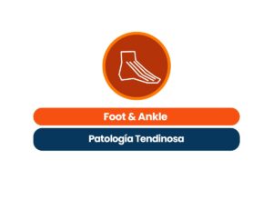 Foot & Ankle Patología Tendinosa