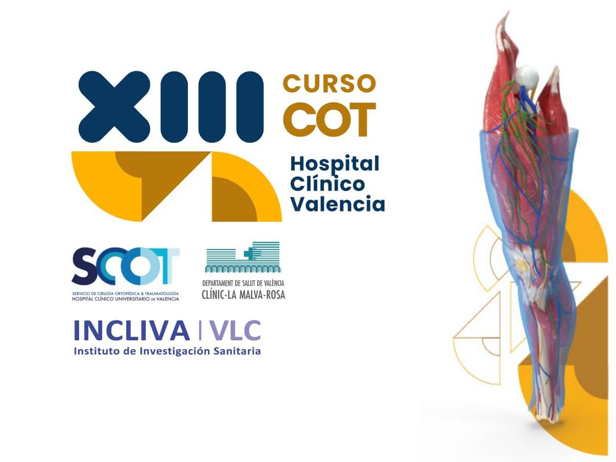 XIII Curso COT - Hospital Clínico de Valencia